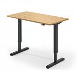 Sitz-/Stehtisch h�henverstellbar