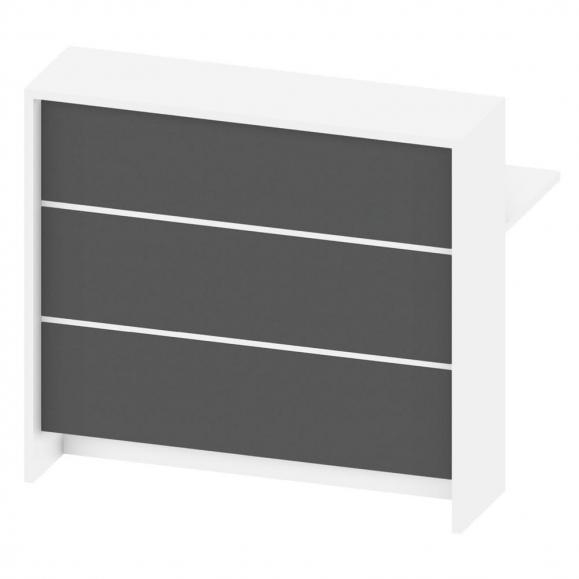 Thekenelement, Empfangstheke