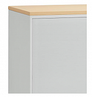 Topplatte 80 oder 120 cm